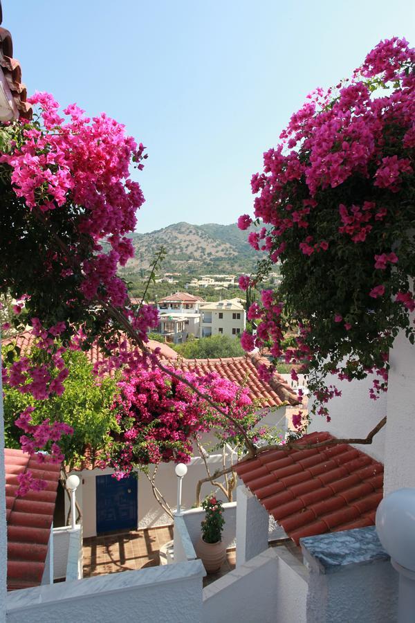 Hotel Elena Syvota מראה חיצוני תמונה